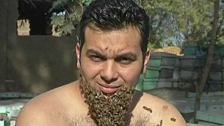 Egyptian beekeeper grows a “beard of bees” [no comment]