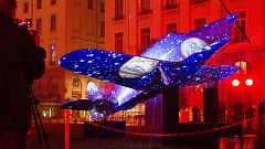 Lyon: Lichtsignale gegen die Terrorangst