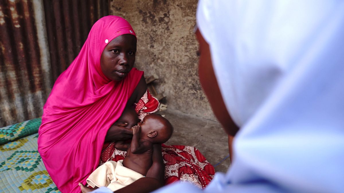 North-east Nigeria: experts and volunteers working together against famine
