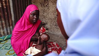 North-east Nigeria: experts and volunteers working together against famine