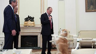 Putin's barking dog take centre stage at media interview