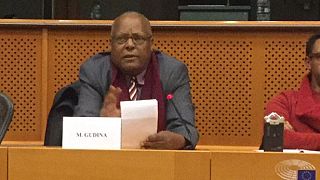 EU parliament writes to Ethiopian president over detained Oromo leader