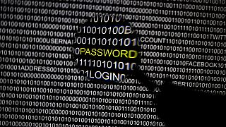 Hackerangriffe: Ton zwischen Moskau und Washington wird schärfer