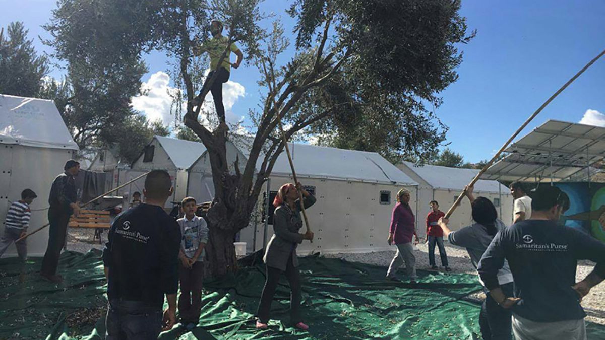 Μυτιλήνη: «Μαυροβούνι», ένα λάδι από τους πρόσφυγες, για τους πρόσφυγες