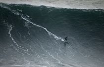 A onda de McNamara (23m) versus a nova maior onda registada (19m): O que as difere?