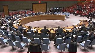 Soudan du Sud : le secrétaire général de l'ONU plaide pour un embargo sur les armes