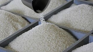 Il n'y a pas de "riz en plastique" au Nigeria- ministère de la Santé