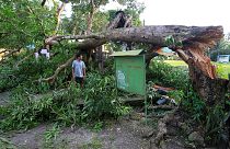 توفان در فیلیپین ۳ قربانی گرفت