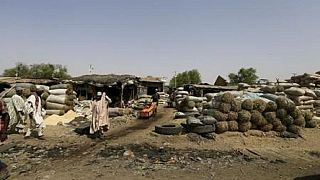 Nigeria : une attaque suicide dans un marché de bétail à Maiduguri