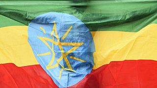 Ethiopia's 2016 Business bag - Protests, revenue dip, airline success, rail launch etc.