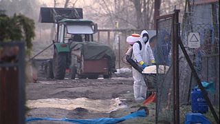 Three new cases of bird flu in Poland