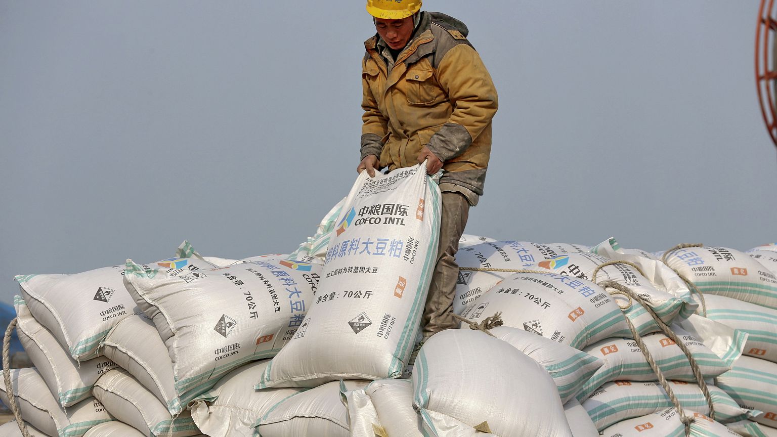 Image: China soybean import