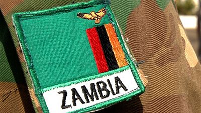 Zambian army to fight caterpillar invasion