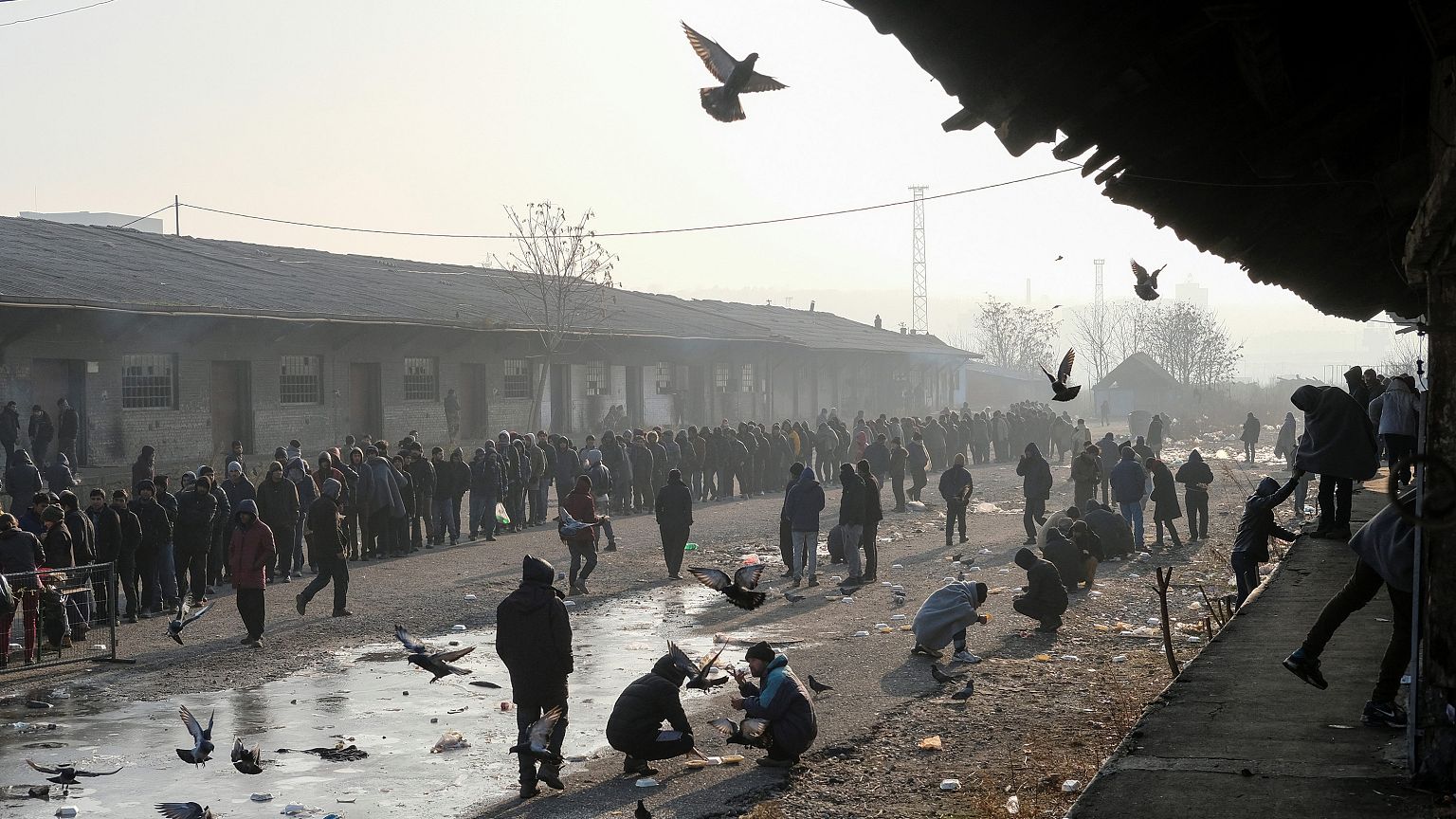 Opinion: The Next Migrant Wave