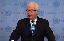 РФ хочет одобрить свой мирный план по Сирии в Совбезе ООН
