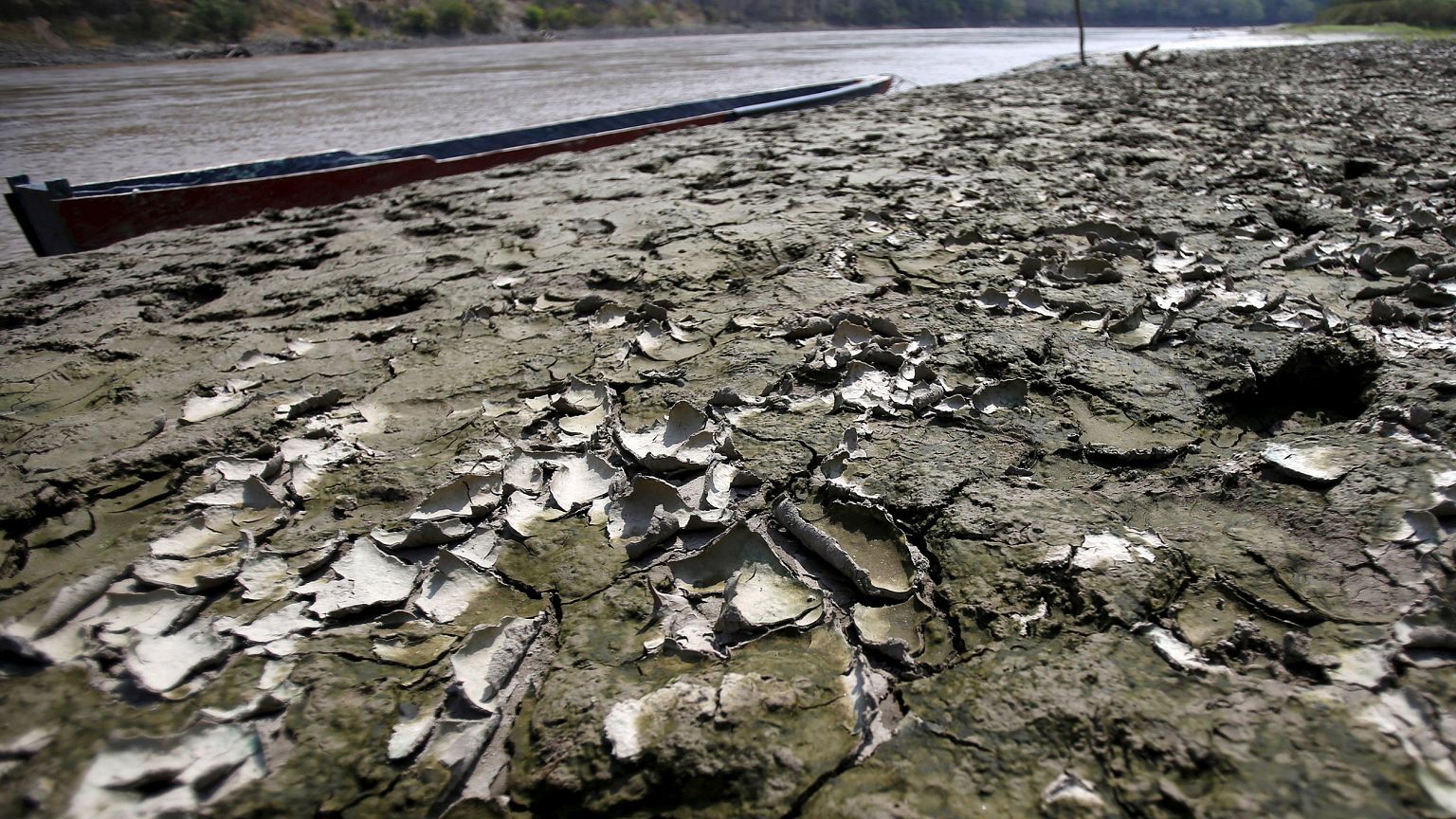 Image: The banks of the Magdalena river, the longest and most important riv