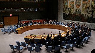 UN Security Council approves Russia-Turkey ceasefire plan for Syria