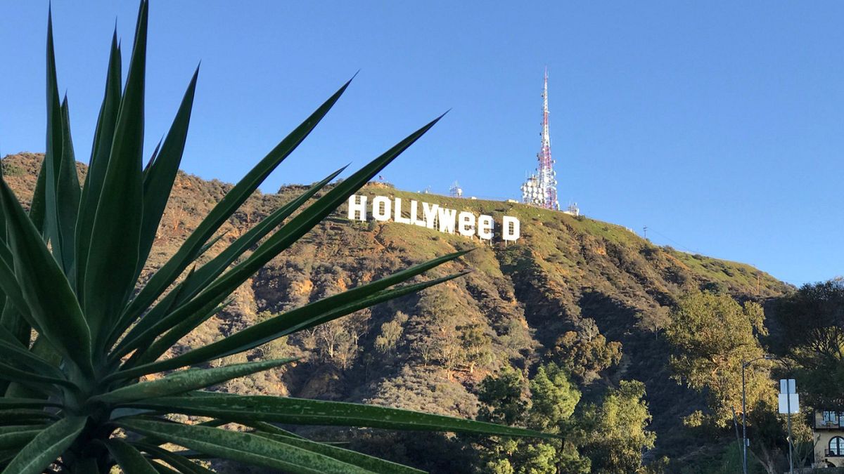 El signo de Hollywood manipulado para celebrar la marihuana