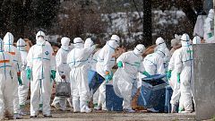Vogelgrippe H5N8: Massentötung von Vögeln in Südwestfrankreich