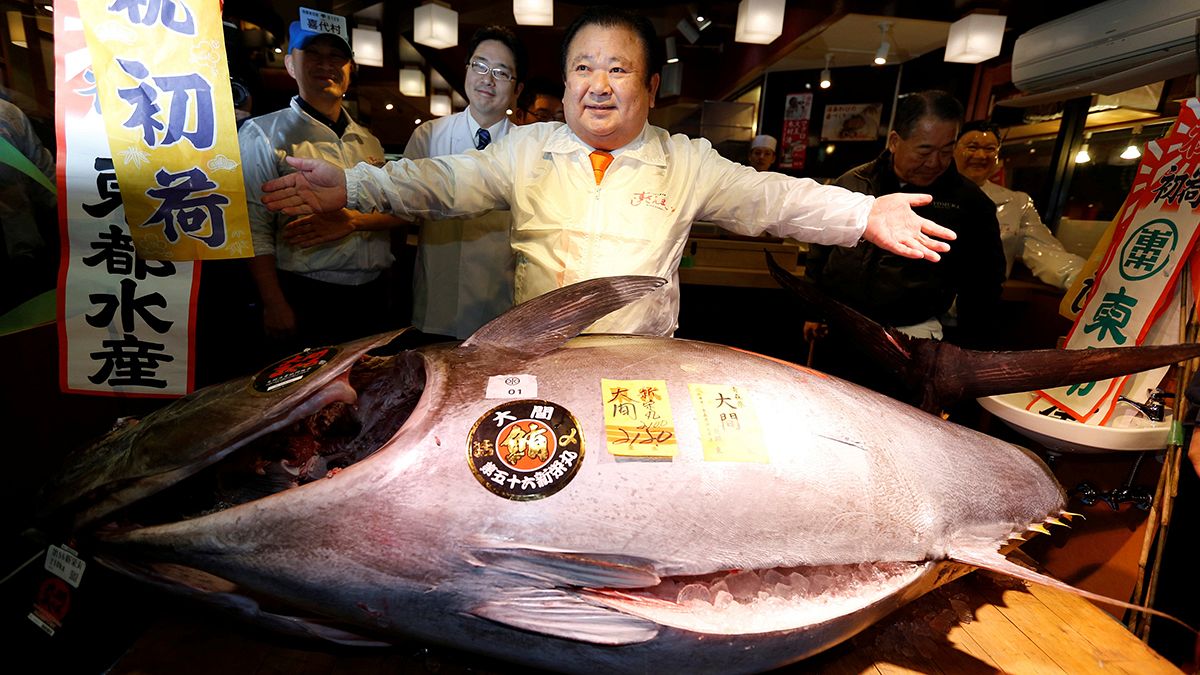 What a catch! More than 600,000 euros for a 212 kilo tuna