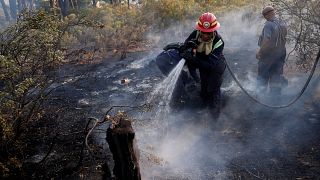 South Africa: Cape Town wildfires contained
