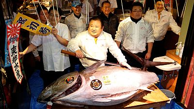 اليابان: سمكة تونة حمراء تباع بسعر 605 يورو في مزاد علني