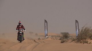 Africa Eco Race: Paolo Ceci su Honda vince la prova speciale
