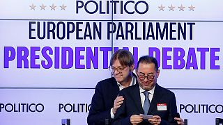 Picking a European Parliament president: how does it work?
