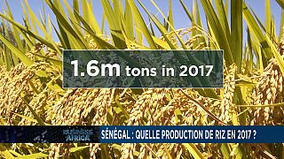 China economy maintains growth and Senegal's rice forecast for 2017