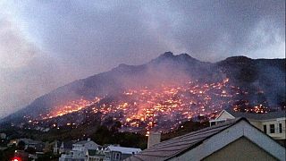 Afrique du Sud : de graves incendies consument des dizaines d'hectares de végétation