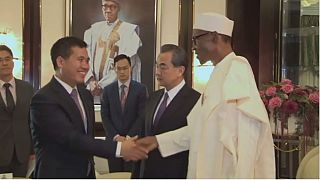 Visiting Chinese official pledges China's continued aid to Africa
