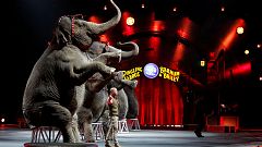 Zirkussterben trifft auch "Großartigste Show der Welt"
