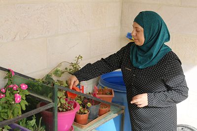 Khawla Qisi recycles water from washing vegetables in her kitchen to use in her garden at her home in Amman, Jordan.