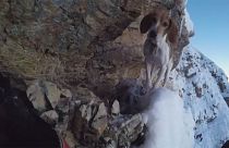 Usa: tona a casa il cane intrappolato sulle montagne dello Utah