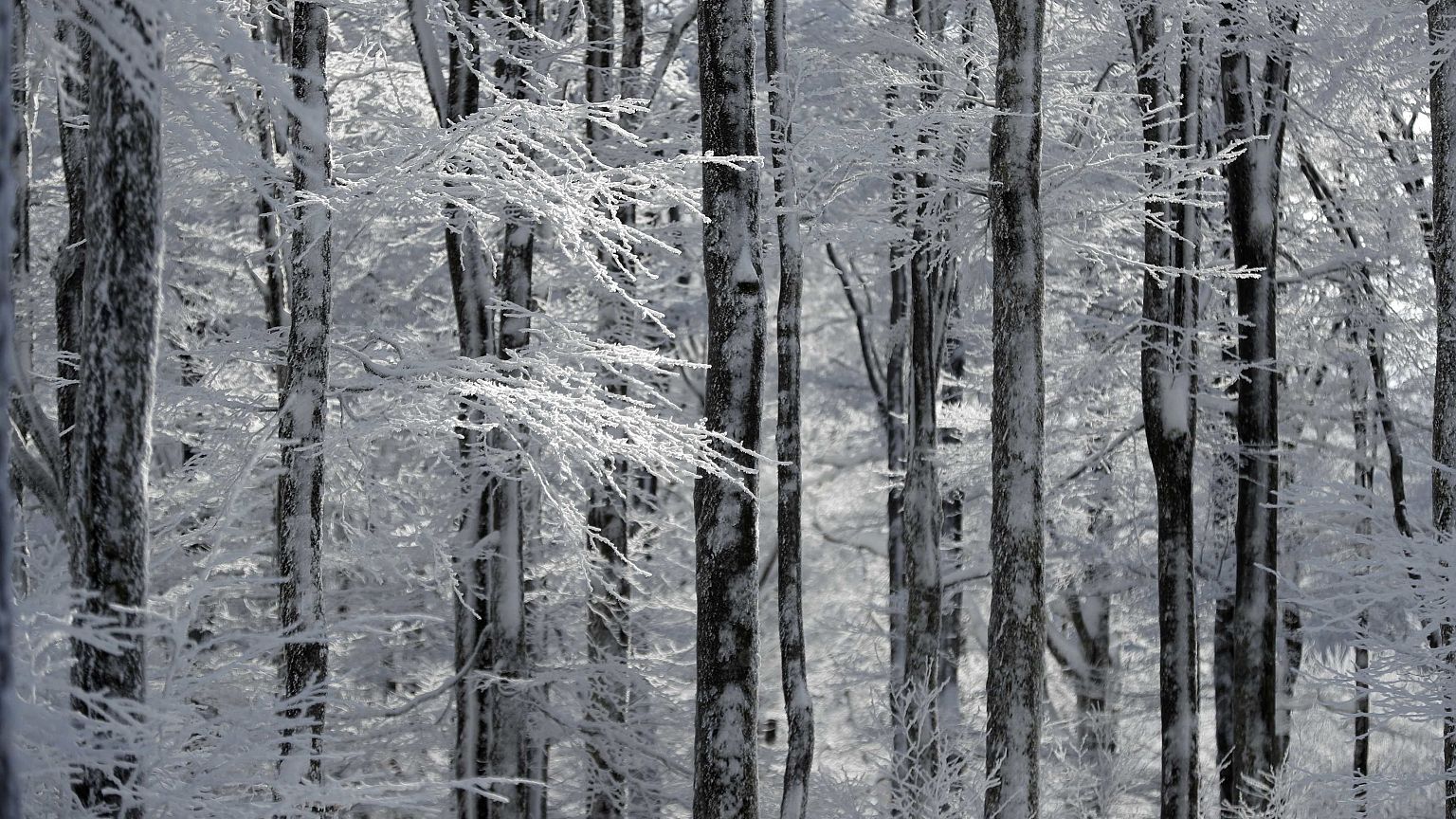 Bis zu 1m Schnee auf Korsika