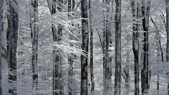 Bis zu 1m Schnee auf Korsika