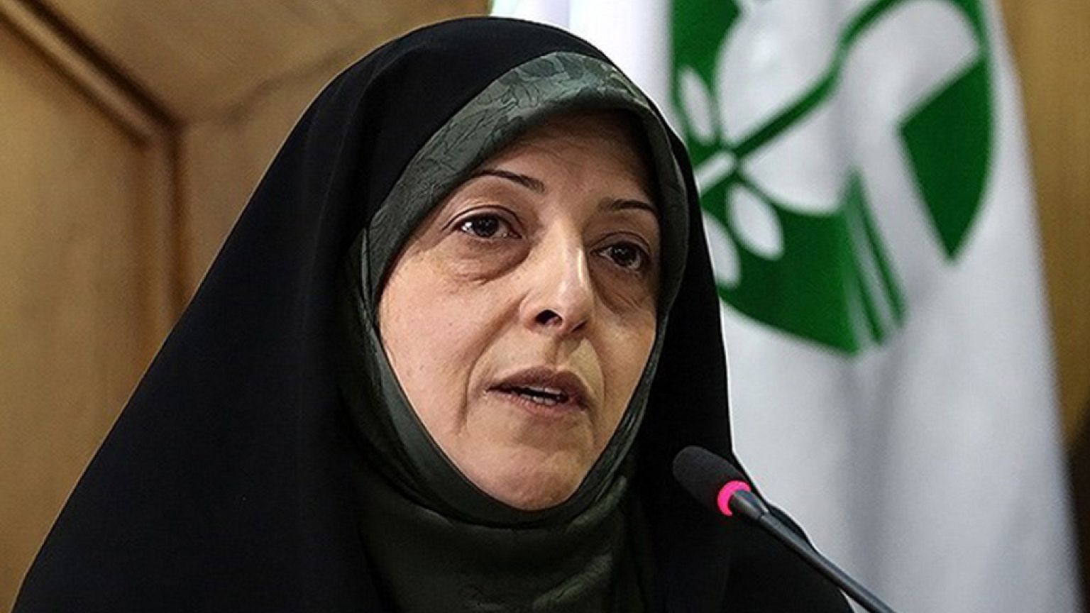 ابتکار: در رفع آلودگی‌ها عقبیم؛ دو میلیون پلاک آلوده در شهر تهران داریم
