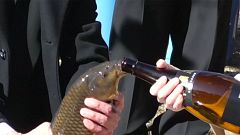 Alkohol für Fische? Japanisches Ritual sorgt für Empörung