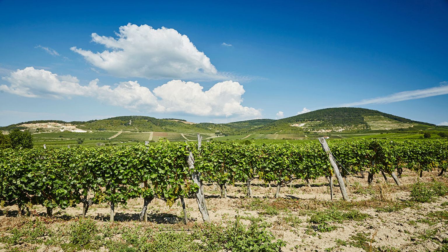 Február, a furmint hónapja