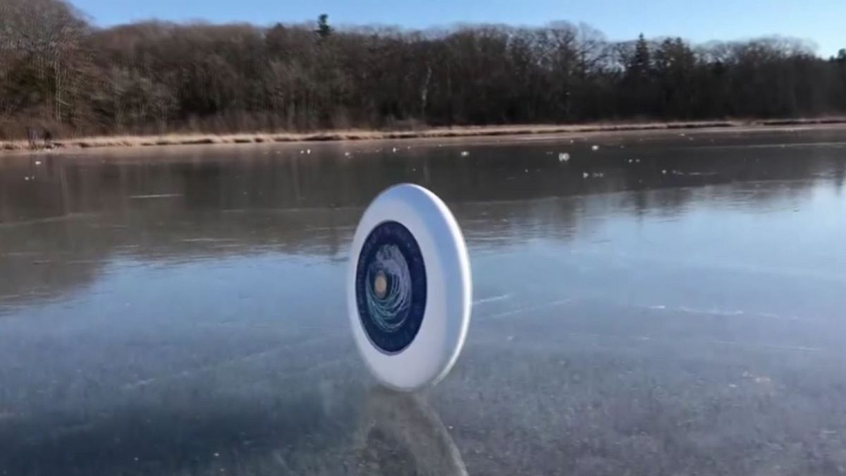 Frisbee ao sabor do vento