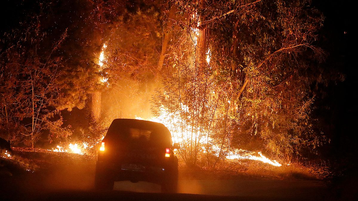 آتش ۸۰ هزار هکتار از جنگل های شیلی را سوزاند