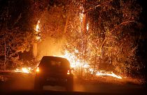 Chile pide ayuda a otros países para sofocar los peores incendios forestales en décadas