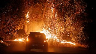 В Чили бушуют пожары: введено чрезвычайное положение