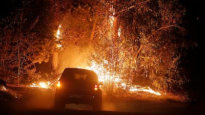 Waldbrände: Chile erklärt mehrere Regionen zu Katastrophenzonen