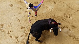 Choques en Bogotá por el regreso de los toros a la plaza de Santamaría