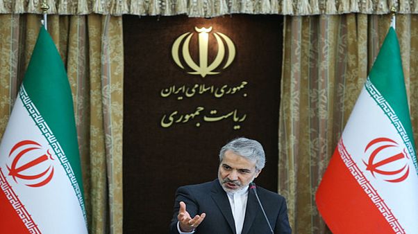 سخنگوی دولت ایران: قانون، شهرداری را مسئول حادثه پلاسکو میداند سخنگوی دولت ایران: قانون، شهرداری را مسئول حادثه پلاسکو میداند