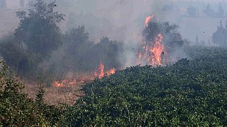 Floresta chilena continua a arder