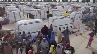 Bassin du Lac Tchad : 11 millions de personnes nécessitent une aide alimentaire immédiate