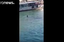 Venedik'in ünlü kanalında mülteci boğuldu