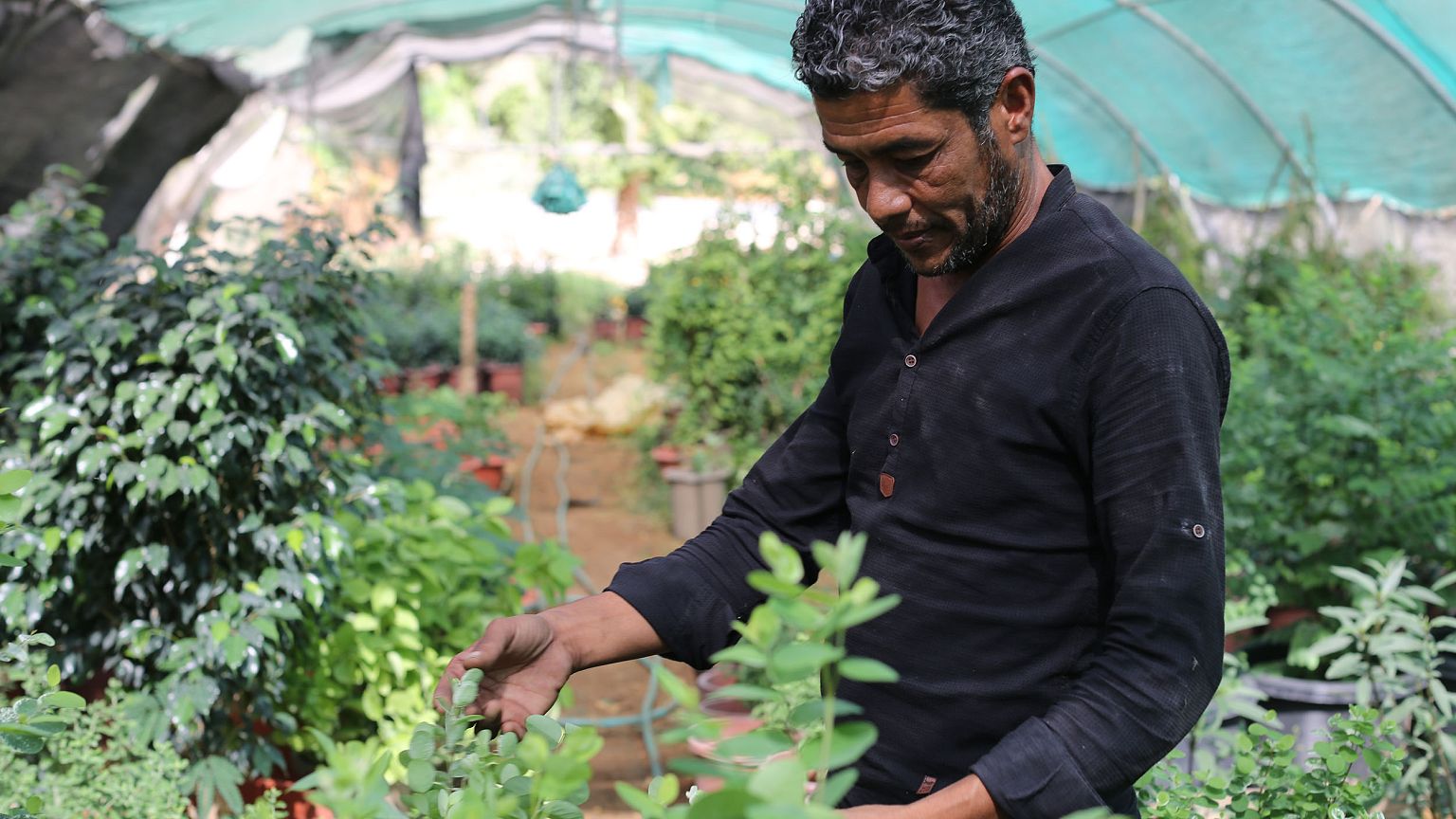 Image: Organic farmer Riyadh Yousef Marror at his farm in Jordan